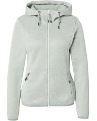 Icepeak - Funktionsfleecejacke 'Adrian' - Lyst