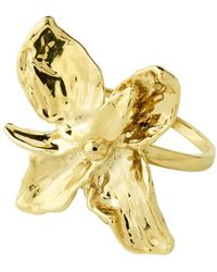 Pilgrim - Ring Trace - Lyst