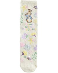 Next - Socken Peter Rabbit - Lyst