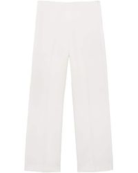 Mango - Hose 'Iguana' - Lyst