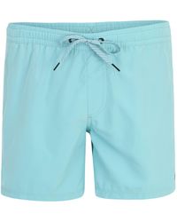 Quiksilver - Badeshorts 'solid 15' - Lyst