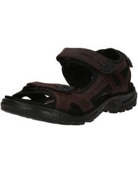Ecco - Trekkingsandale Offroad - Lyst