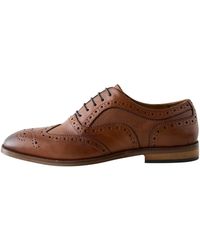 Next - Schnürschuh - Lyst