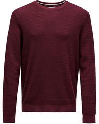 Salsa Jeans - Pullover - Lyst