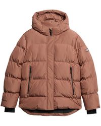 Superdry - Gefütterte sportliche Steppjacke mit Kapuze Muskatgewürz Braun 36 - Lyst