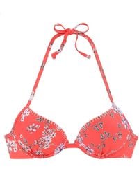 Sunseeker - Bikini-Top Ditsy - Lyst