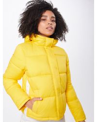 Calvin Klein Jacke 'MONOGRAM TAPE LW PUFFER' - Gelb