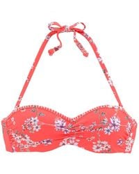 Sunseeker - Bikini-Top Ditsy - Lyst