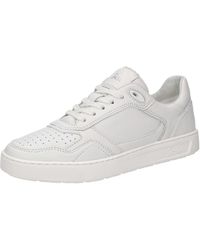 Sioux - Sneaker Tedroso-Da-700 - Lyst