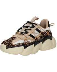 Steve Madden - Sneaker Spectator-L - Lyst
