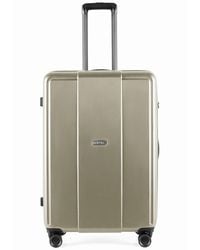Epic - Trolley Pop 6.0 - Lyst