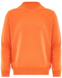 Aleva - Pullover - Lyst