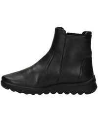 Ara - Stiefelette - Lyst