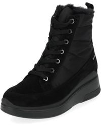 Igi&co - Schnürstiefelette - Lyst