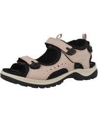 Ecco - Trekkingsandale Offroad - Lyst