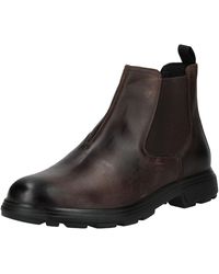 Geox - Stiefelette - Lyst