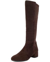 Dune - Stiefel Tayla - Lyst