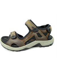 Ecco Sandalen - Braun