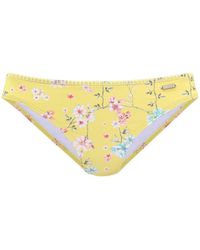 Sunseeker - Bikini-Hose Ditsy - Lyst