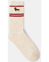 Accessorize - Sausage Dog Varsity Socks - Lyst