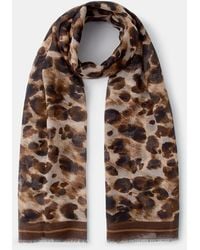 Accessorize - Lightweight Leopard Print Scarf - Lyst