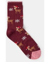 Accessorize - Christmas Reindeer Socks - Lyst