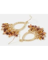 Accessorize - Bead Cluster Teardrop Earrings - Lyst