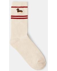 Accessorize - Sausage Dog Varsity Socks - Lyst