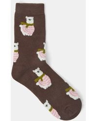 Accessorize - Llama Print Socks - Lyst