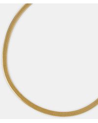 Accessorize - Stainless Steel Omega Chain Necklace - Lyst
