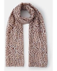 Accessorize - Lightweight Animal Print Scarf - Lyst