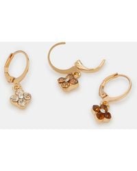 Accessorize - 3-Pack Jewel Clover Charm Hoop Earrings - Lyst