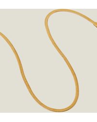 Accessorize - Women's Gold Stainless Steel Omega Chain Necklace - Lyst