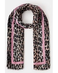 Accessorize - Lightweight Leopard Print Scarf - Lyst