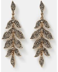Accessorize - Pavé Leaf Drop Earrings - Lyst