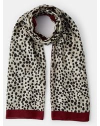 Accessorize - Lightweight Animal Print Scarf - Lyst