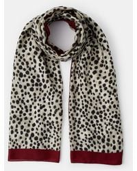Accessorize - Lightweight Animal Print Scarf - Lyst