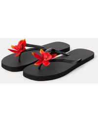 Accessorize - Tropical Flower Flip Flops - Lyst