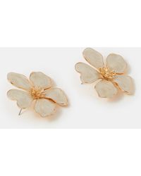 Accessorize - Flower Statement Stud Earrings - Lyst
