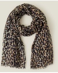Accessorize - Lightweight Leopard Print Scarf - Lyst