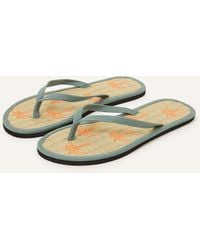 Accessorize - Women's Green Embroidered Palm Tree Seagrass Flip Flops - Lyst