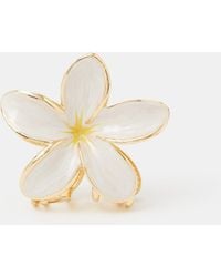 Accessorize - Tropical Flower Metal Claw Clip - Lyst