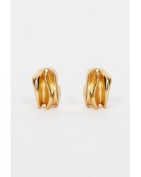 Acler - Masterfly Earring - Lyst
