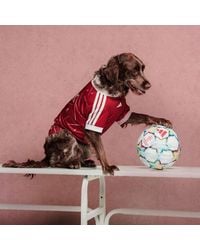 adidas - Pet Jersey Liverpool Fc - Lyst