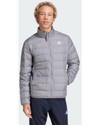 adidas - Essentials Lite Down Jacket - Lyst