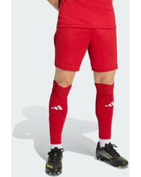 adidas - Entrada26 Shorts - Lyst