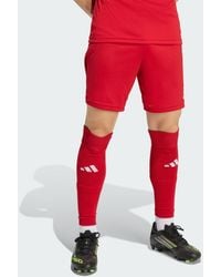 adidas - Entrada26 Shorts - Lyst