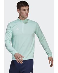Heren Kleding voor voor Kleding voor sport gym en workout voor Sweaters adidas Synthetisch Entrada 22 Trainingsshirt in het Groen voor heren 