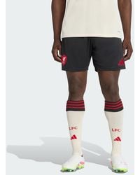 adidas - Liverpool Fc 25/26 Away Shorts - Lyst