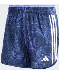 adidas Originals - Own The Run Excite Allover Print Aeroready Shorts - Lyst